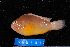 ( - NBE1011)  @13 [ ] No Rights Reserved  Unspecified Unspecified