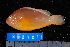  ( - NBE1012)  @14 [ ] No Rights Reserved  Unspecified Unspecified