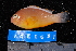  ( - NBE1037)  @13 [ ] No Rights Reserved  Unspecified Unspecified
