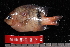  ( - NBE1270)  @12 [ ] No Rights Reserved  Unspecified Unspecified
