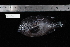  ( - REU1654)  @12 [ ] No Rights Reserved  Unspecified Unspecified