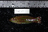  ( - REU1683)  @13 [ ] No Rights Reserved  Unspecified Unspecified