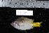  ( - REU1685)  @13 [ ] No Rights Reserved  Unspecified Unspecified