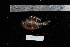 ( - REU1745)  @12 [ ] No Rights Reserved  Unspecified Unspecified
