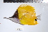  ( - REU0756)  @11 [ ] No Rights Reserved  Unspecified Unspecified