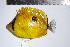  ( - REU0760)  @13 [ ] No Rights Reserved  Unspecified Unspecified