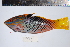  ( - REU0767)  @14 [ ] No Rights Reserved  Unspecified Unspecified