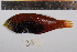 ( - REU0918)  @13 [ ] No Rights Reserved  Unspecified Unspecified