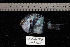  ( - REU004-1)  @13 [ ] No Rights Reserved  Unspecified Unspecified