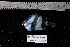  ( - REU004-2)  @13 [ ] No Rights Reserved  Unspecified Unspecified