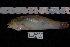  ( - REU013-1)  @13 [ ] No Rights Reserved  Unspecified Unspecified