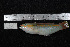 ( - REU074-1)  @13 [ ] No Rights Reserved  Unspecified Unspecified