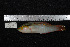  ( - REU074-2)  @13 [ ] No Rights Reserved  Unspecified Unspecified