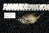  ( - REU111-1)  @12 [ ] No Rights Reserved  Unspecified Unspecified