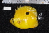  ( - REU185-1)  @13 [ ] No Rights Reserved  Unspecified Unspecified