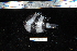  ( - REU2765)  @13 [ ] No Rights Reserved  Unspecified Unspecified