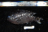  ( - REU2776)  @12 [ ] No Rights Reserved  Unspecified Unspecified
