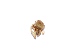  ( - SR34)  @12 [ ] Copyright (2013) Dr.G.D. Khedkar Paul Hebert Center for DNA Barcoding and Biodiversity Studies