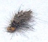  ( - M2JA14)  @12 [ ] Copyright (2013) Dr.G.D. Khedkar Paul Hebert Center for DNA Barcoding and Biodiversity Studies