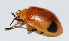 ( - M2BH19)  @13 [ ] Copyright (2013) Dr.G.D. Khedkar Paul Hebert Center for DNA Barcoding and Biodiversity Studies
