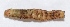  ( - M9KE39)  @12 [ ] Copyright (2013) Dr.G.D. Khedkar Paul Hebert Center for DNA Barcoding and Biodiversity Studies
