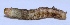  ( - M9KE39)  @12 [ ] Copyright (2013) Dr.G.D. Khedkar Paul Hebert Center for DNA Barcoding and Biodiversity Studies
