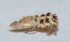  ( - SH45)  @12 [ ] Copyright (2013) Dr.G.D. Khedkar Paul Hebert Center for DNA Barcoding and Biodiversity Studies