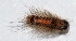  ( - W5BH24)  @12 [ ] Copyright (2013) Dr.G.D. Khedkar Paul Hebert Center for DNA Barcoding and Biodiversity Studies
