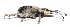  ( - M2SA10)  @12 [ ] Copyright (2013) Dr.G.D. Khedkar Paul Hebert Center for DNA Barcoding and Biodiversity Studies