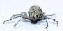  ( - M2SA10)  @12 [ ] Copyright (2013) Dr.G.D. Khedkar Paul Hebert Center for DNA Barcoding and Biodiversity Studies