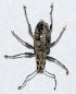  ( - M2SA10)  @12 [ ] Copyright (2013) Dr.G.D. Khedkar Paul Hebert Center for DNA Barcoding and Biodiversity Studies