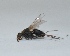  ( - KU38)  @12 [ ] Copyright (2013) Dr.G.D. Khedkar Paul Hebert Center for DNA Barcoding and Biodiversity Studies