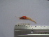  ( - ASCB110-02)  @11 [ ] Unspecified (default): All Rights Reserved  Unspecified Unspecified