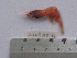  ( - ASCB110-41)  @13 [ ] Unspecified (default): All Rights Reserved  Unspecified Unspecified