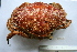  ( - ASCB110-55)  @14 [ ] Unspecified (default): All Rights Reserved  Unspecified Unspecified
