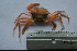  ( - ASCB110-83)  @13 [ ] Unspecified (default): All Rights Reserved  Unspecified Unspecified
