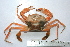  ( - ASCB110-85)  @14 [ ] Unspecified (default): All Rights Reserved  Unspecified Unspecified