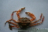  ( - ASCB110-86)  @14 [ ] Unspecified (default): All Rights Reserved  Unspecified Unspecified
