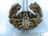  ( - ASCB0606-48)  @14 [ ] Unspecified (default): All Rights Reserved  Unspecified Unspecified