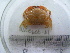 ( - ASCB0606-61)  @13 [ ] Unspecified (default): All Rights Reserved  Unspecified Unspecified