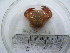  ( - ASCB0606-62)  @13 [ ] Unspecified (default): All Rights Reserved  Unspecified Unspecified