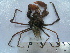  (Inachus - ASCB0606-73)  @14 [ ] Unspecified (default): All Rights Reserved  Unspecified Unspecified