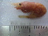  ( - ASCB0810-03)  @13 [ ] Unspecified (default): All Rights Reserved  Unspecified Unspecified
