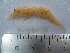  (Deosergestes - ASCB0810-12)  @13 [ ] Unspecified (default): All Rights Reserved  Unspecified Unspecified