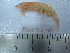  ( - ASCB0810-18)  @13 [ ] Unspecified (default): All Rights Reserved  Unspecified Unspecified