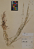  ( - MIRL11-Acyl-01-01)  @11 [ ] Unspecified (default): All Rights Reserved  Unspecified Unspecified