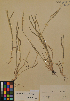  ( - MIRL11-Acyl-07-01)  @11 [ ] Unspecified (default): All Rights Reserved  Unspecified Unspecified