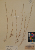  ( - MIRL11-Acyl-10-01)  @11 [ ] Unspecified (default): All Rights Reserved  Unspecified Unspecified