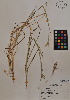  ( - MIRL11-Bisc-03-01)  @11 [ ] Unspecified (default): All Rights Reserved  Unspecified Unspecified
