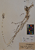  ( - MIRL11-Bisc-07-01)  @11 [ ] Unspecified (default): All Rights Reserved  Unspecified Unspecified